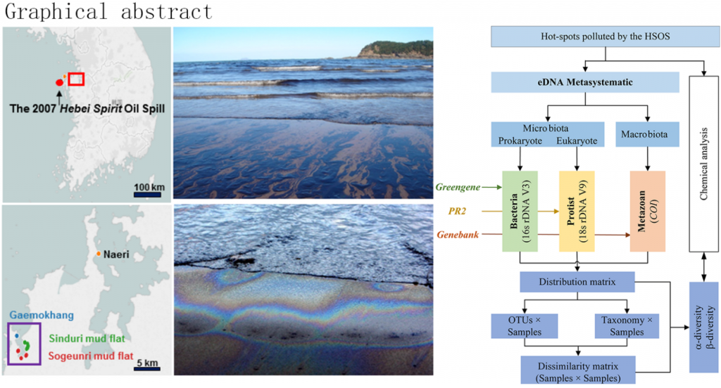 논문 > "eDNA Bioassessment on Coastal Sediments Impacted by Oil Spill" EP에 게제확정 사진