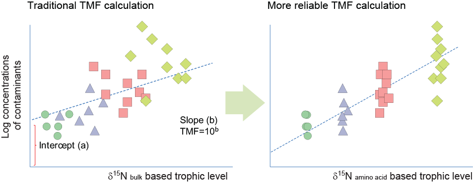 논문 > "Importance of accurate trophic level determination by nitrogen isotope of amino acids ... 사진