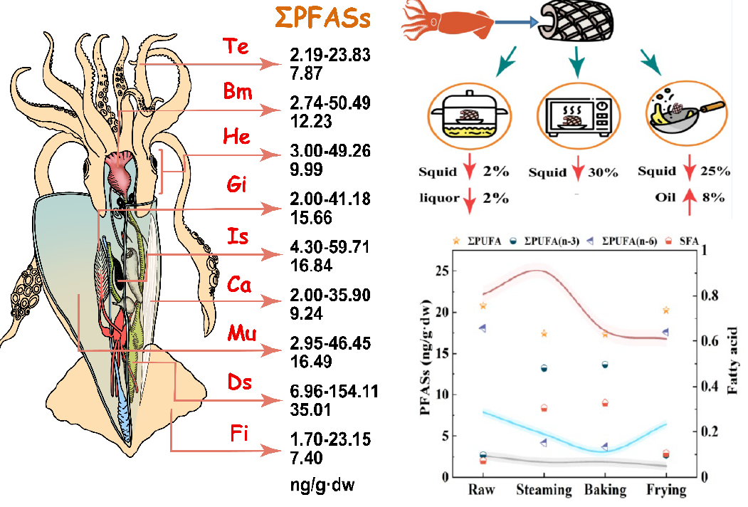 “Legacy and novel perfluoroalkyl substances in raw and cooked squids: Perspective from health risks ... 사진