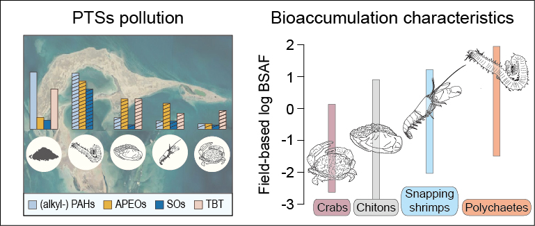 논문 > "Occurrence and bioaccumulation of persistent toxic substances in sediments and biota f... 사진