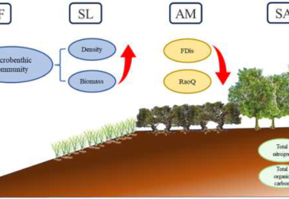 “Functional traits of macrobenthos substantially indicated habitat change from the invasive saltmars... 사진