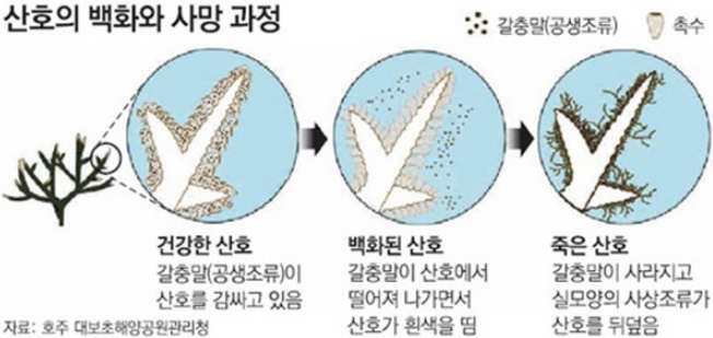 캡처-2